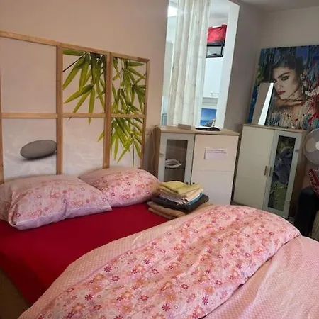 Apartman Schoene Appart Fuer 1oder Pers In Mannheim *